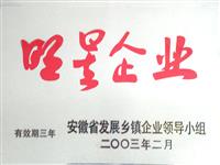 安徽省明星企業